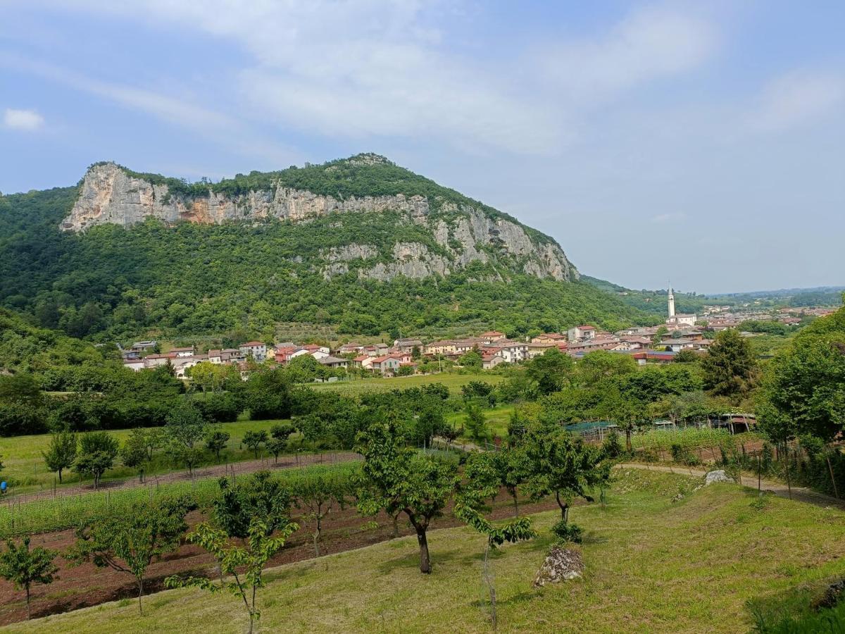Boutique Apartment Alla Dolce Vita Vicenza Eksteriør bilde